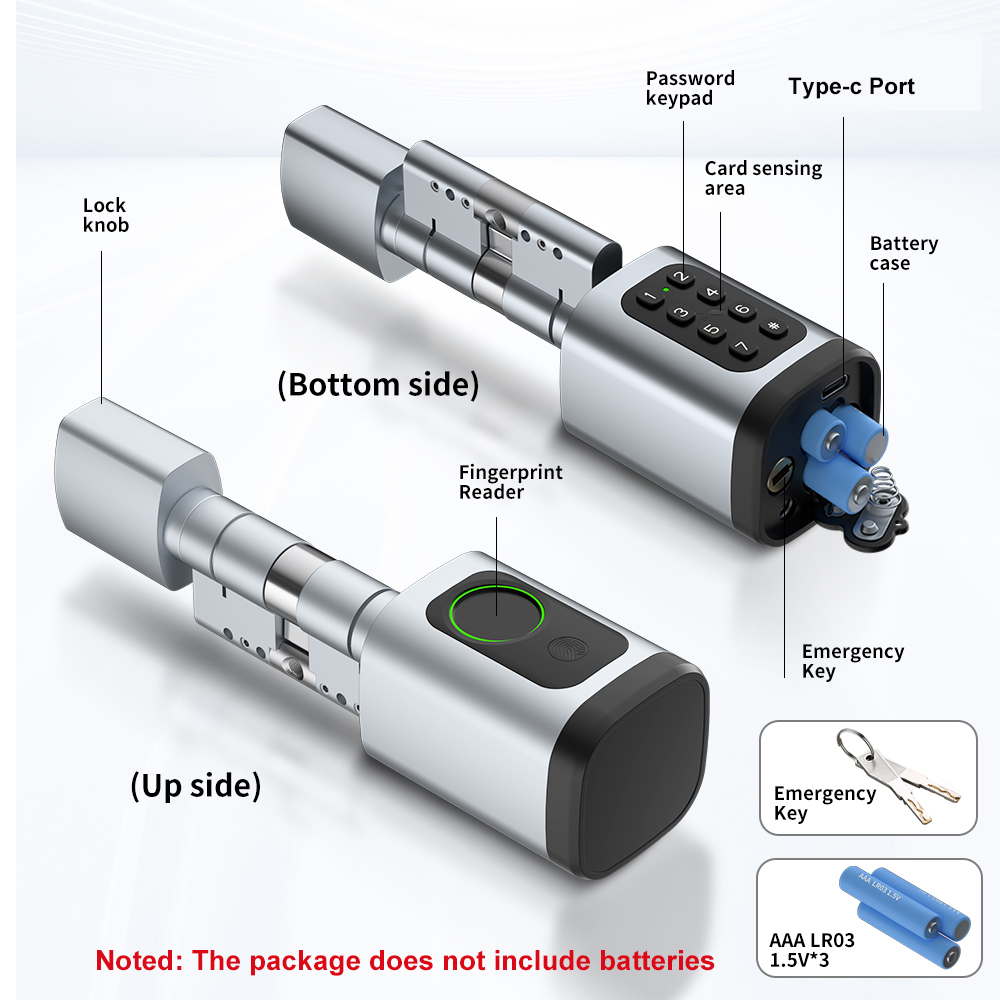 Raykube v1 tuya ble tt lock fe - Smart Home Door Lock avaliação e preço